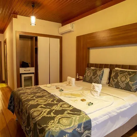 호텔 Bursa Palas Hotel