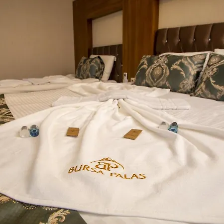Hotel Bursa Palas Hotel 3*