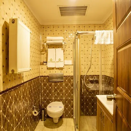 Hotel Bursa Palas Hotel 3*