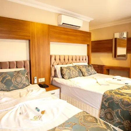 Bursa Palas Hotel Готель 3*