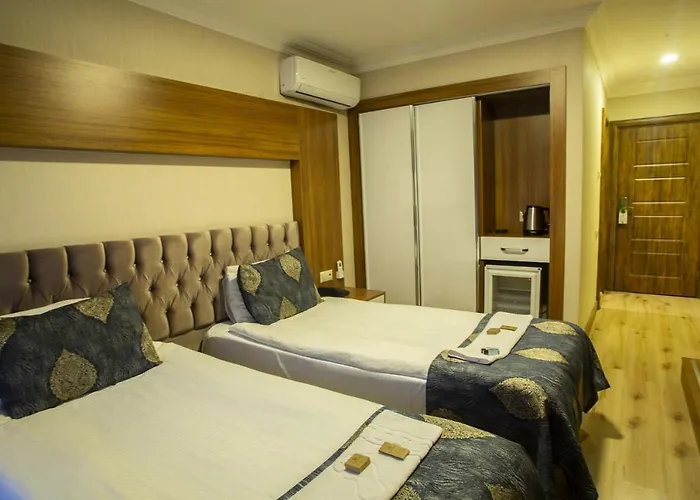 Bursa Palas Hotel מלון 3*