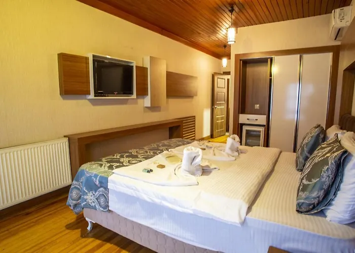 מלון Bursa Palas Hotel בורסה