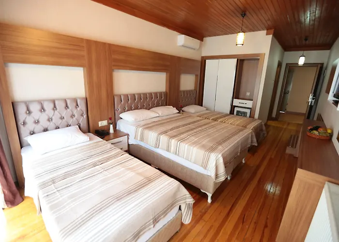 Bursa Palas Hotel מלון בורסה