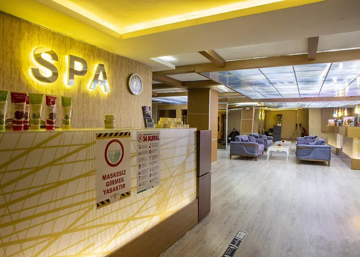 Bursa Palas Hotel 3*