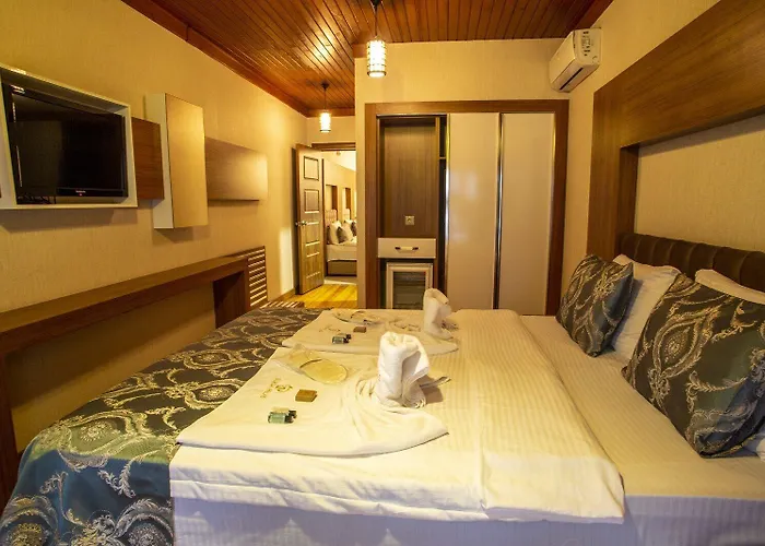 מלון Bursa Palas Hotel 3*