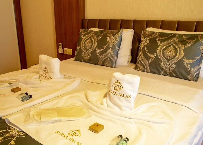 Bursa Palas Hotel 3*