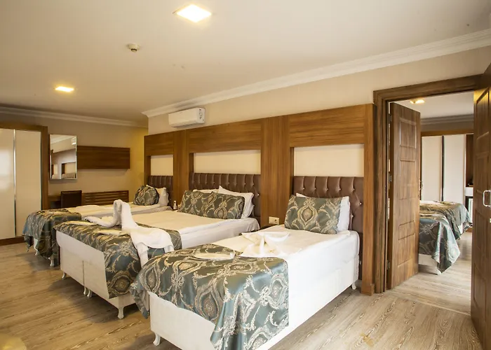 Bursa Palas Hotel 3*