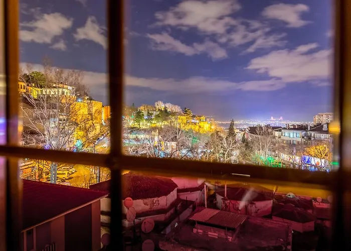 מלון Bursa Palas Hotel 3*