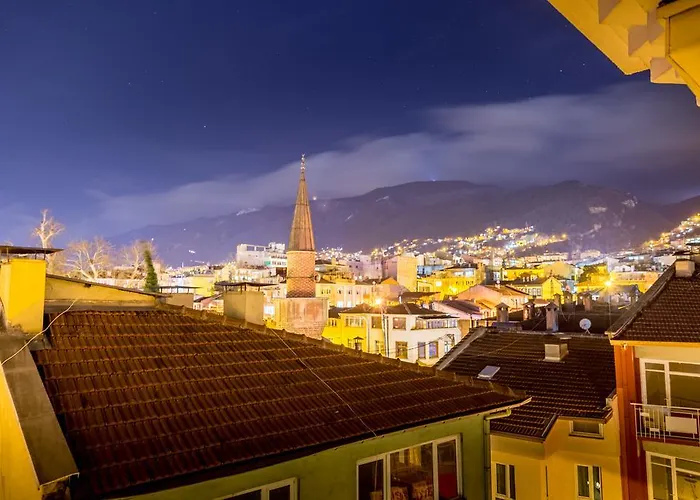 מלון Bursa Palas Hotel